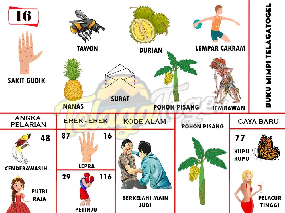 buku mimpi erek erek togel 16