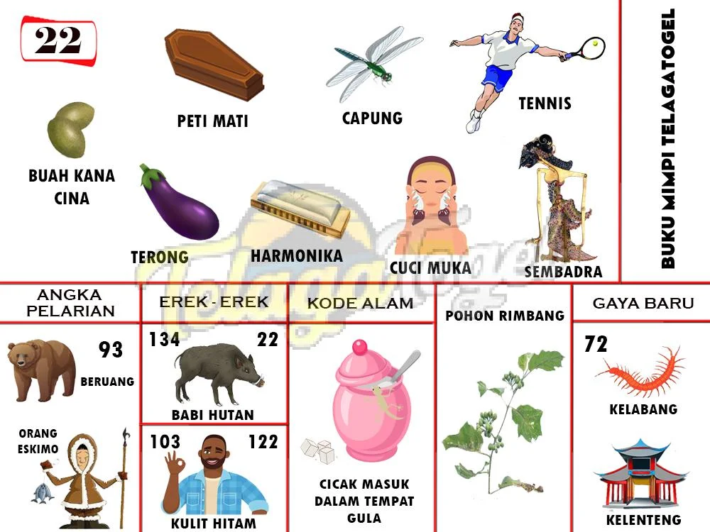 buku mimpi erek erek togel 22