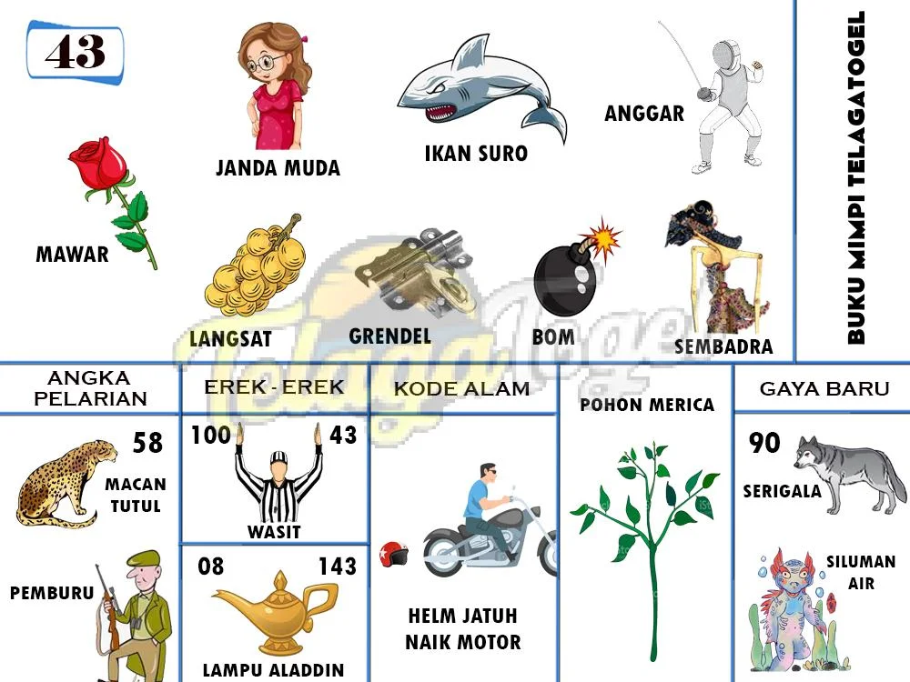 buku mimpi erek erek togel 43